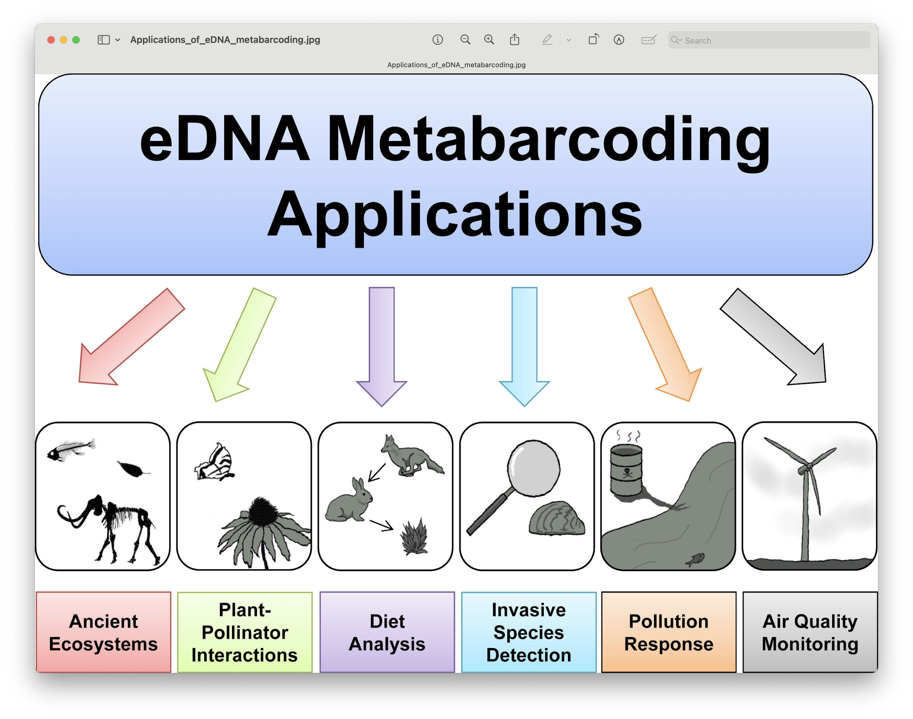 _images/Applications_of_eDNA_metabarcoding.png