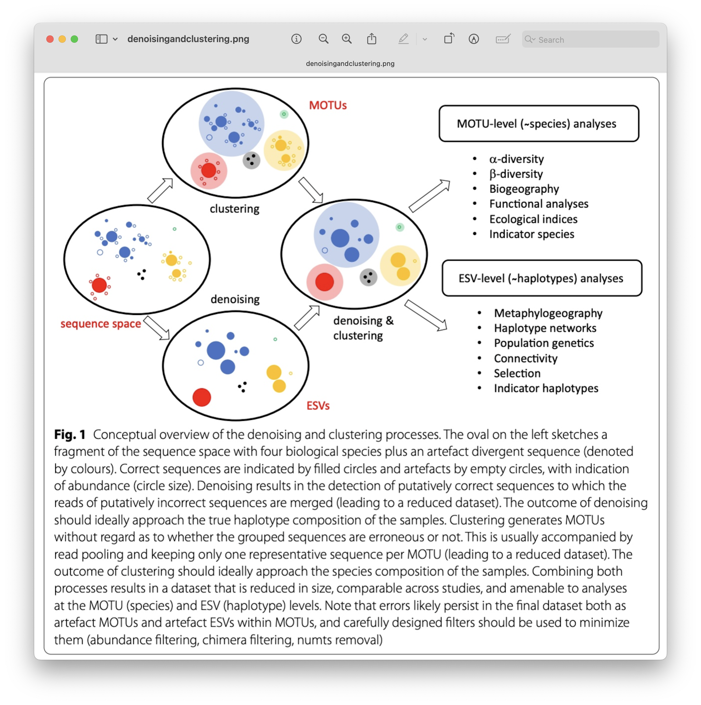 _images/denoising_and_clustering.png