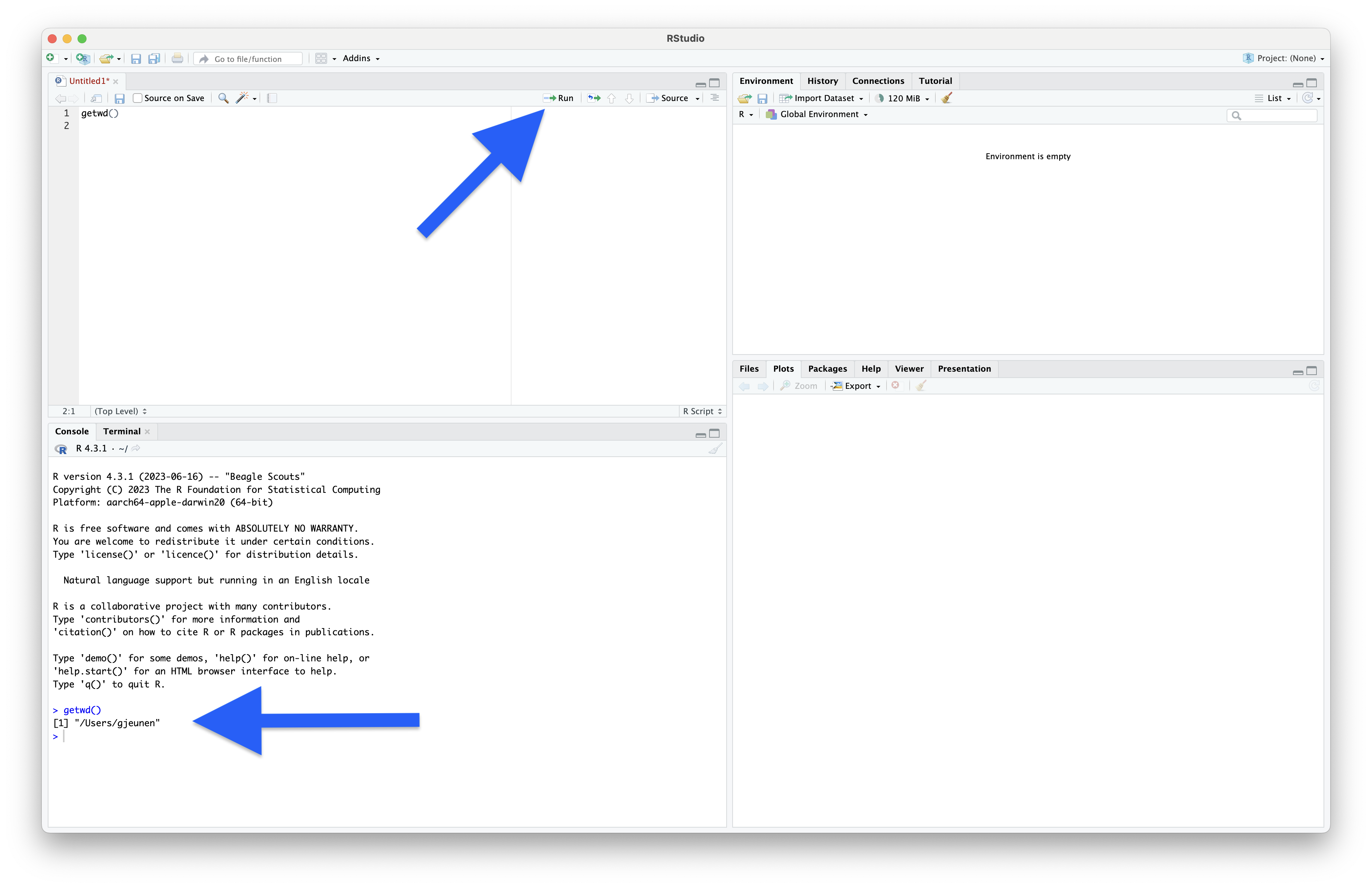 _images/execute_first_line_of_code.png