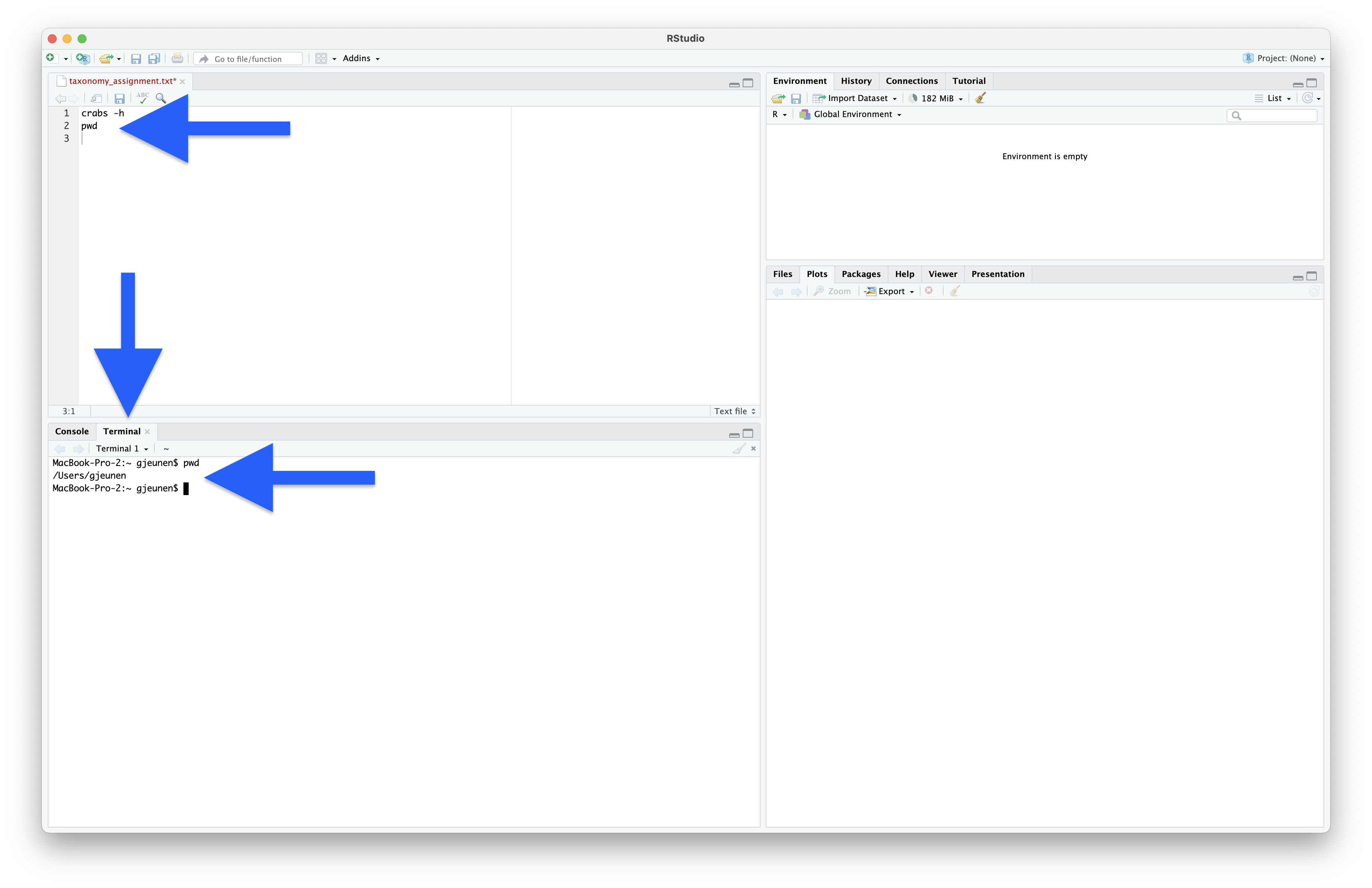 _images/print_working_directory.png
