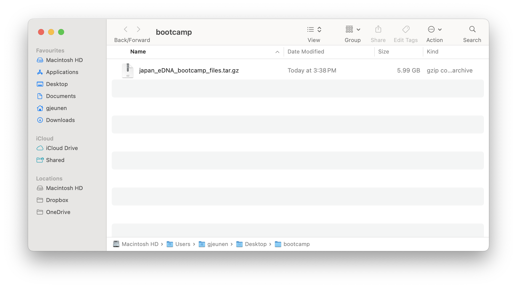 _images/starting_file_screen.png