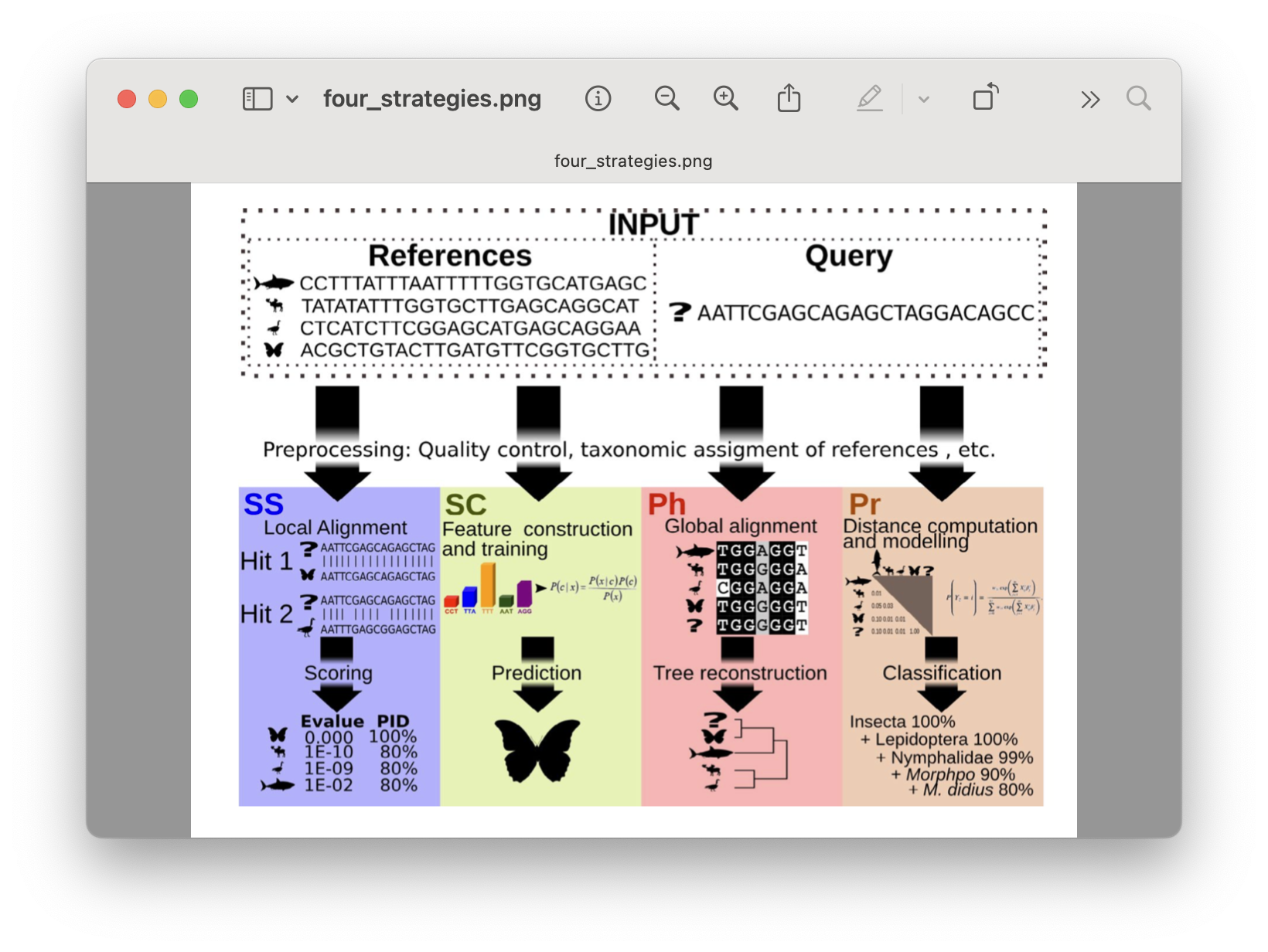 _images/taxonomy_strategies.png
