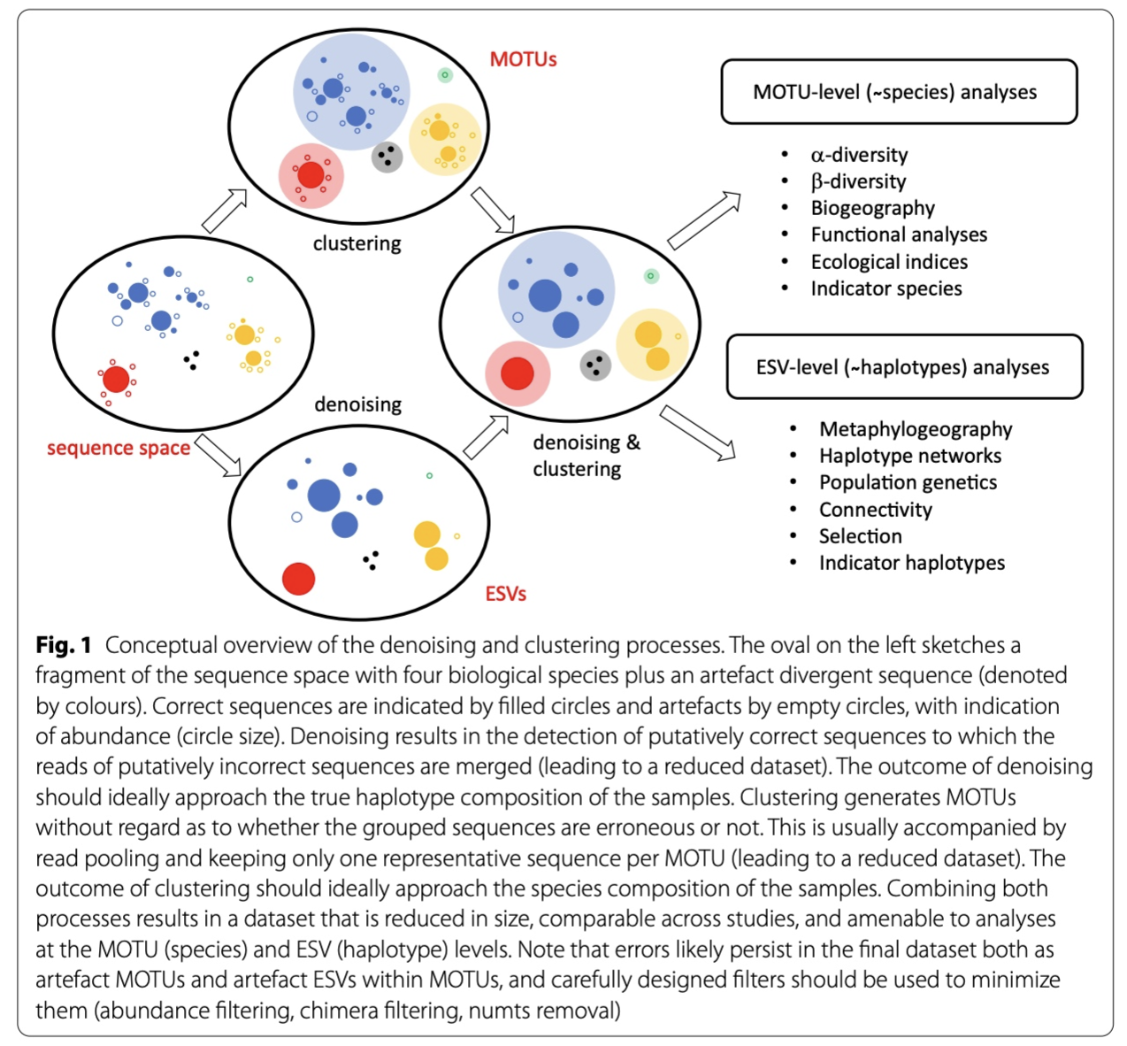 _images/denoisingandclustering.png