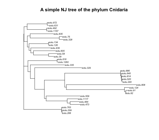 _images/simplecnidarianjtree.png